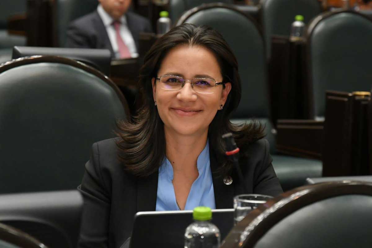 Diputada Paola Jimenez