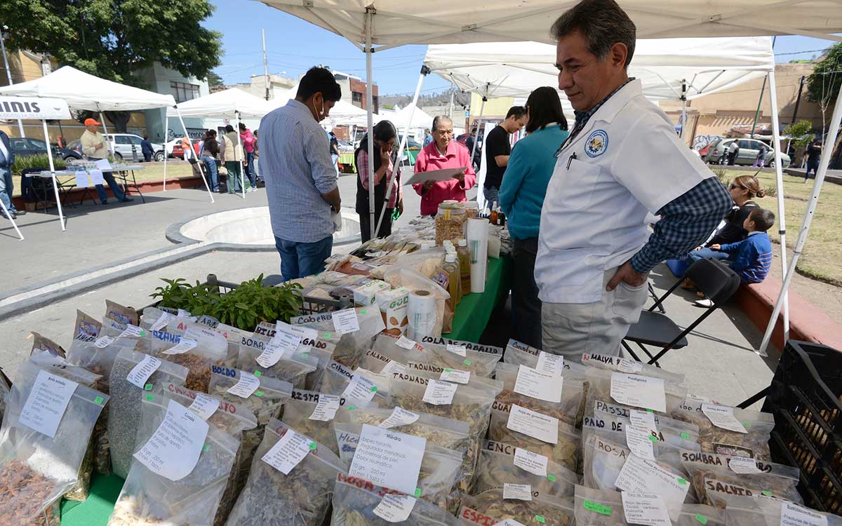 servicios gratuitos de la feria en la colonia morelos toluca 2024