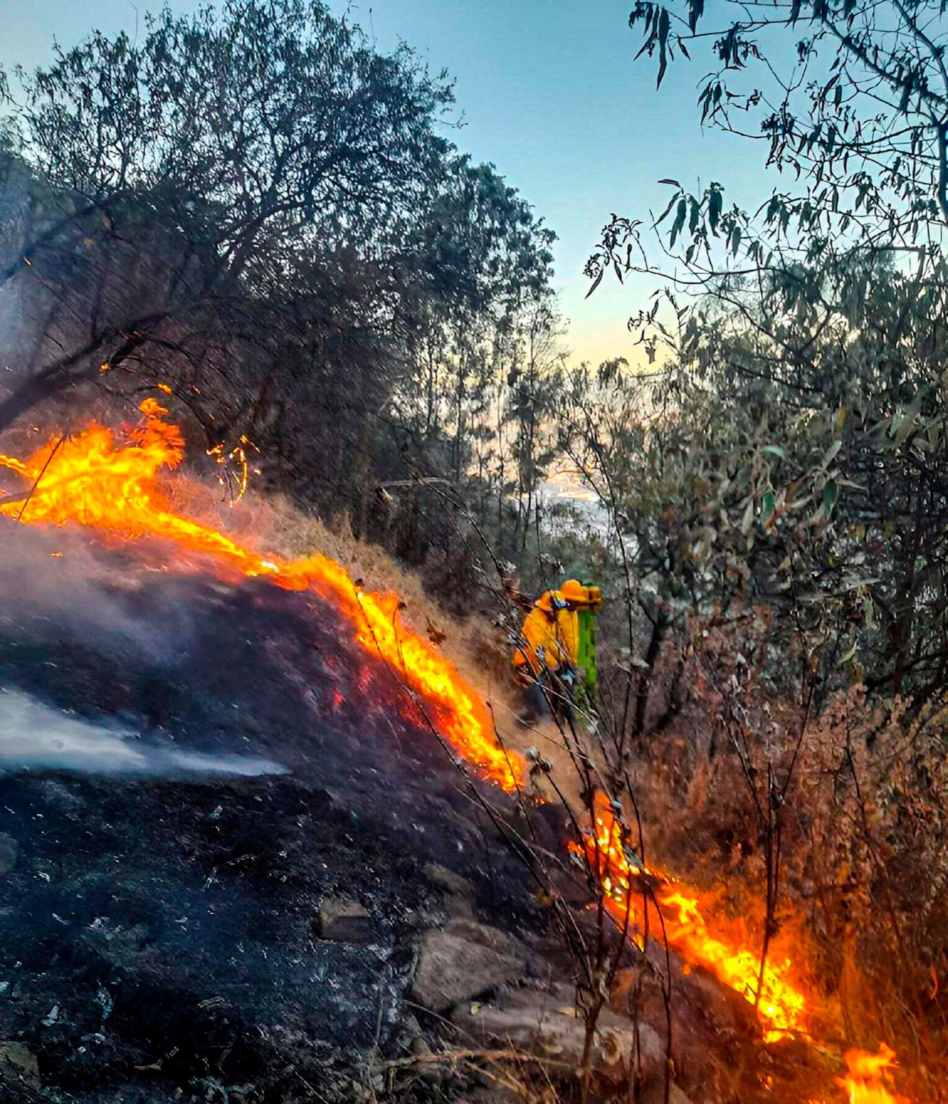Controlan incendio en cerro de la Teresona en Toluca