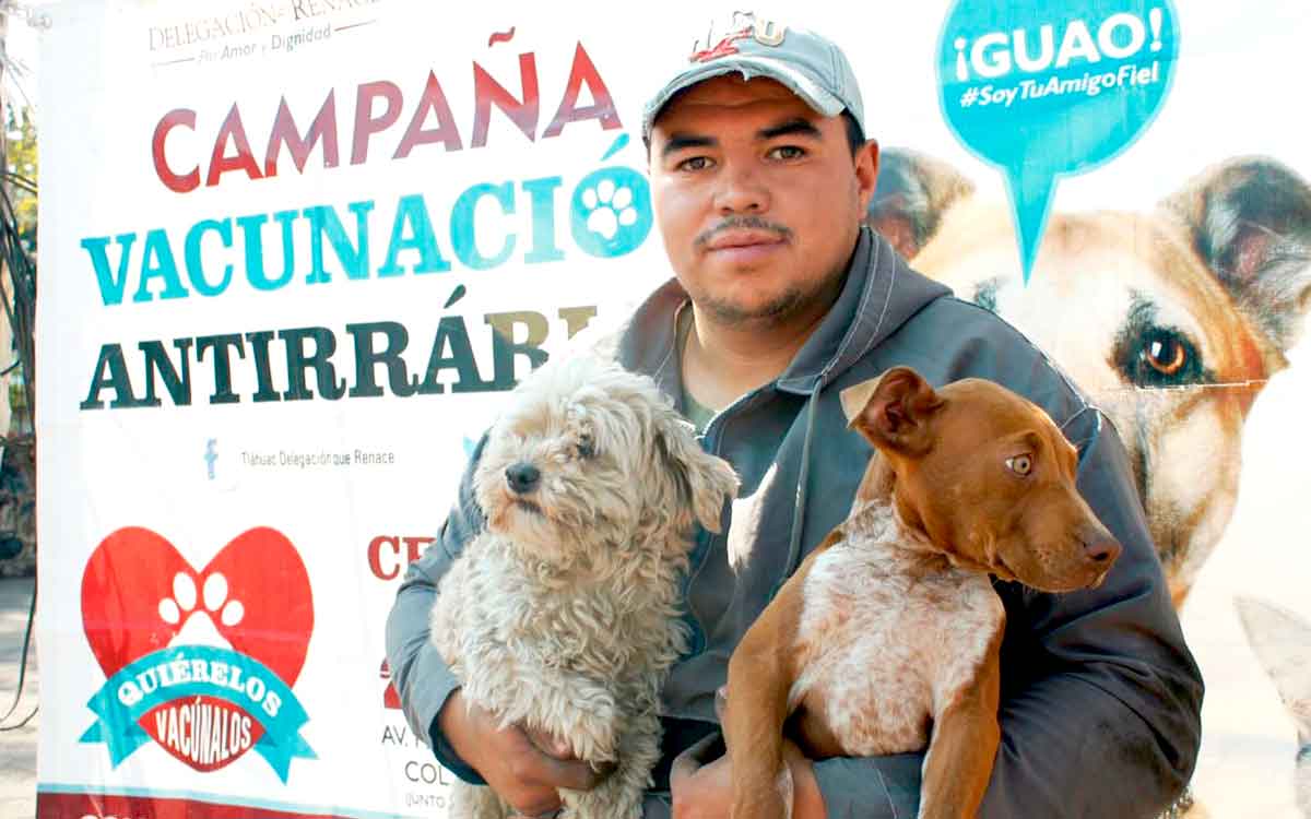 Nueva jornada de vacunación para mascotas en Zinacantepec