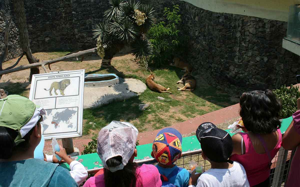 niños en zoologico de zacango