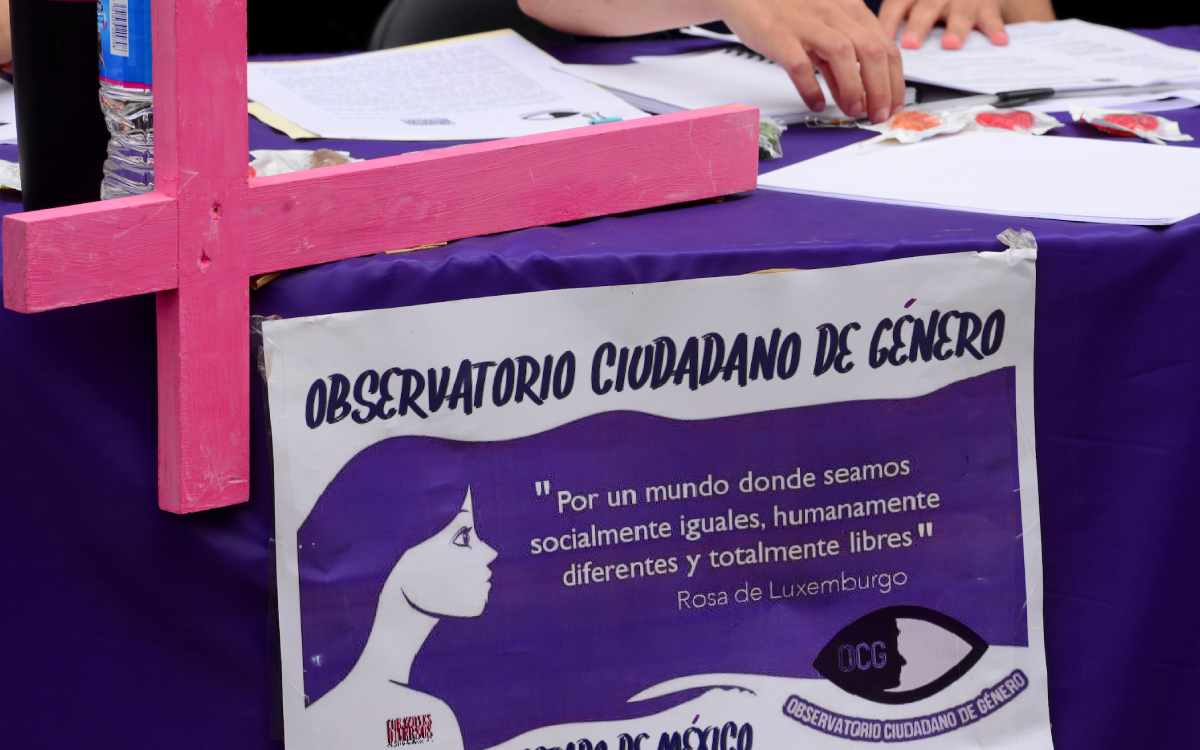 concoe el operativo violeta edomex 2024