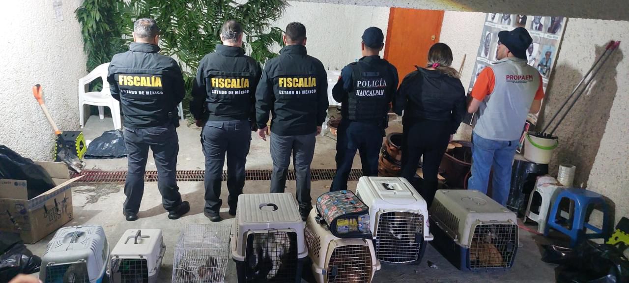 FGJEM rescató animales en Naucalpan