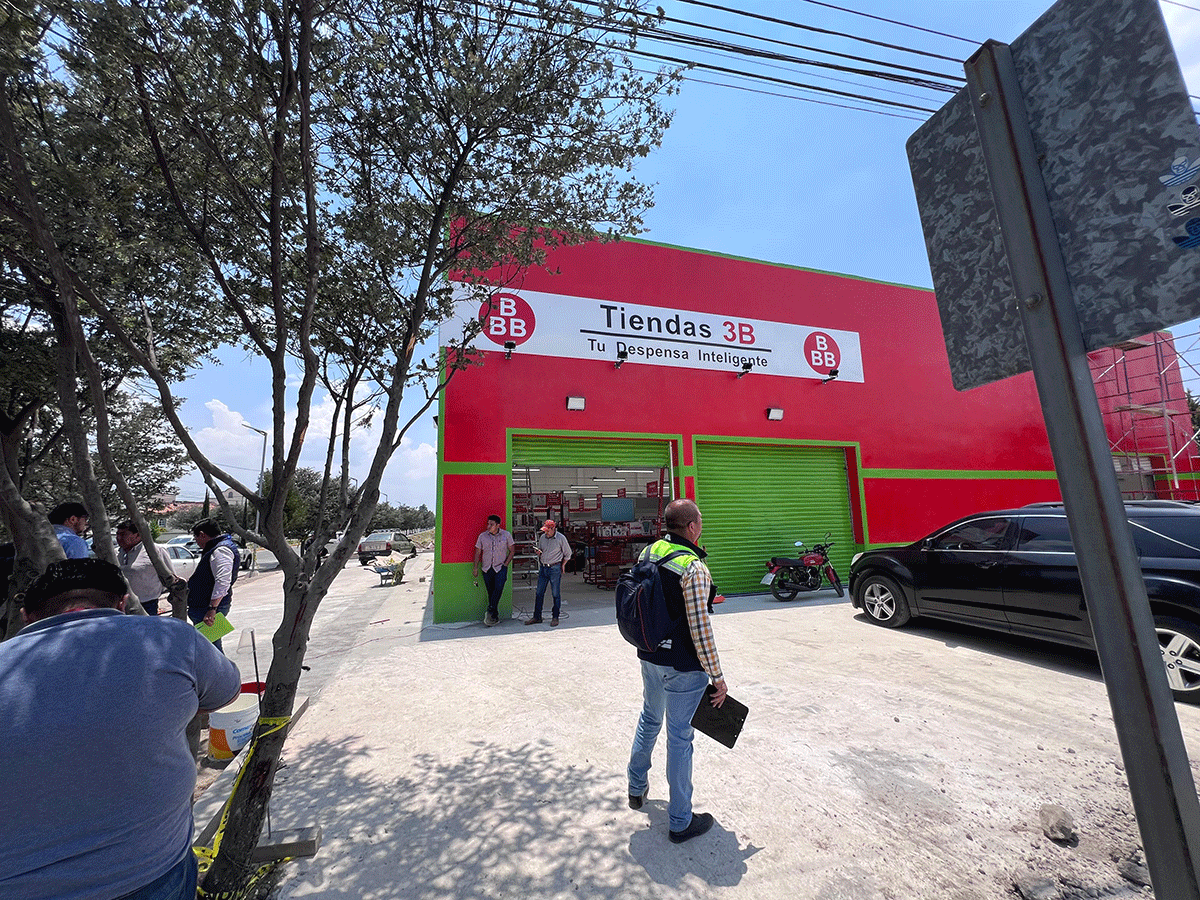 Gobierno de Metepec inicia proceso administrativo por presunto retiro de árboles