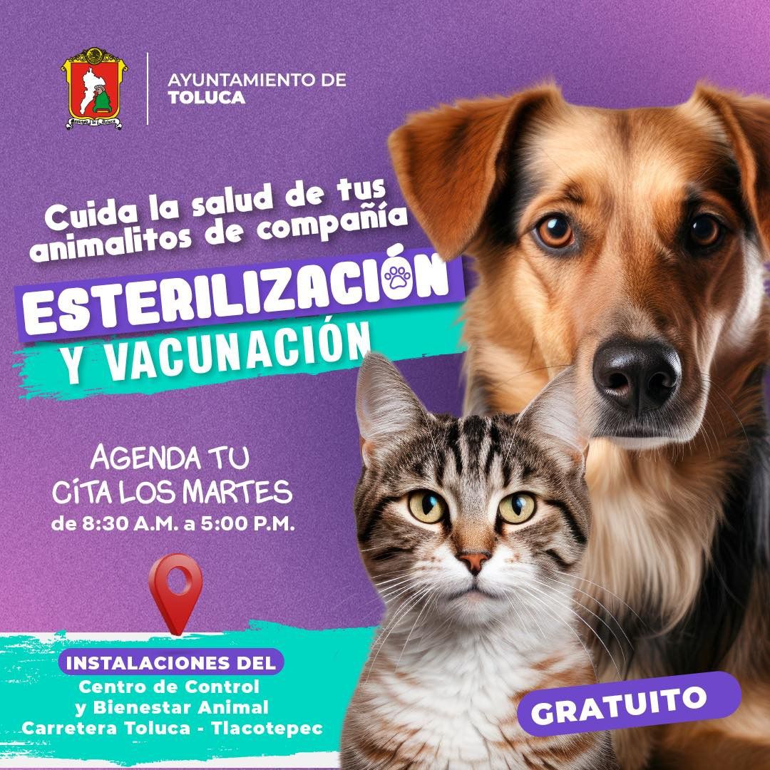 Acude a la campaña de esterilización gratuita 2024 en Toluca