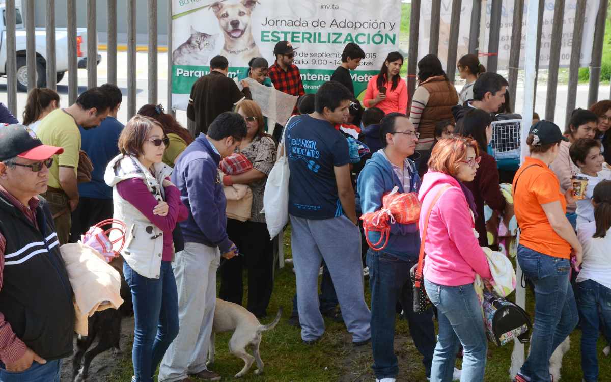 san cristobal huichochitlan anuncia campaña esterilizacion gratuita