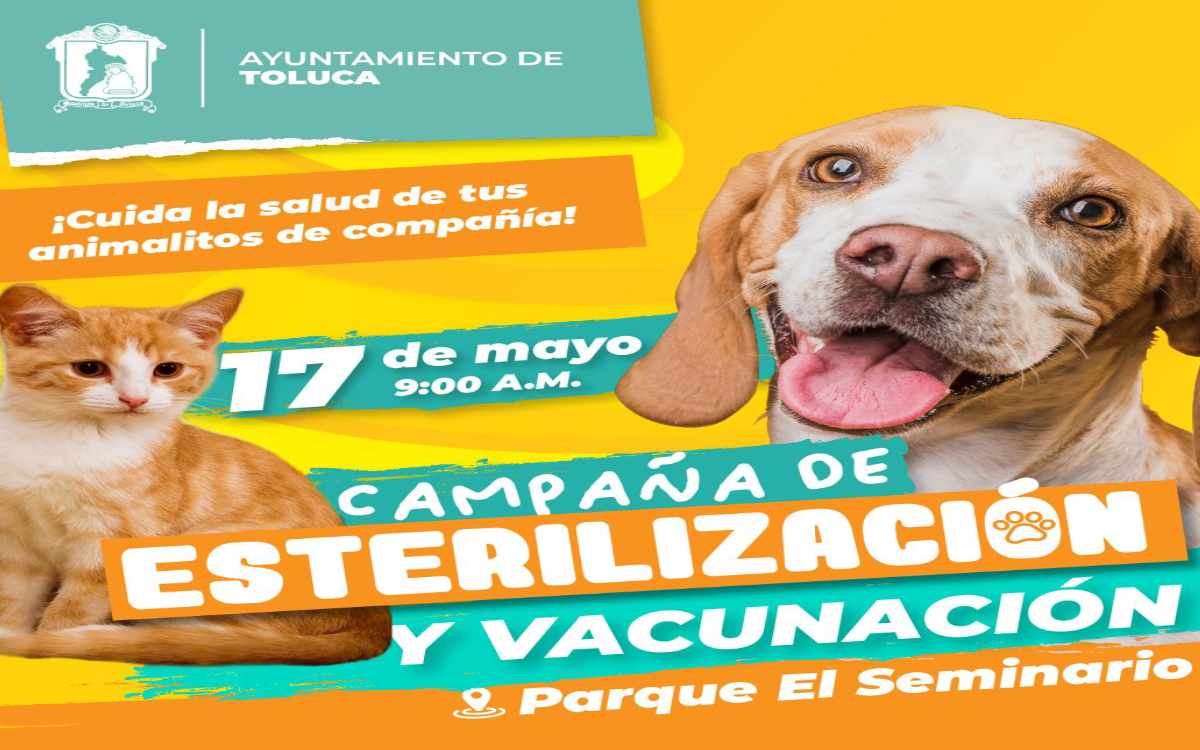 anuncio campaña esterilicacion toluca 2024 mayo 17