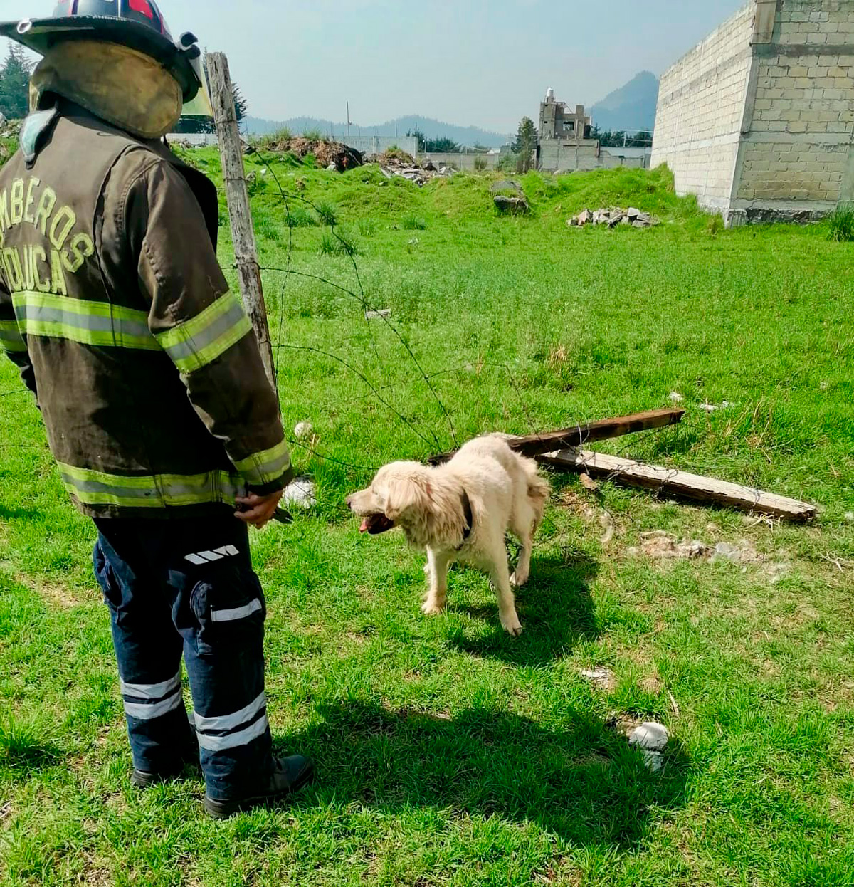 Bomberos rescataron a perro en Calixtlahuaca