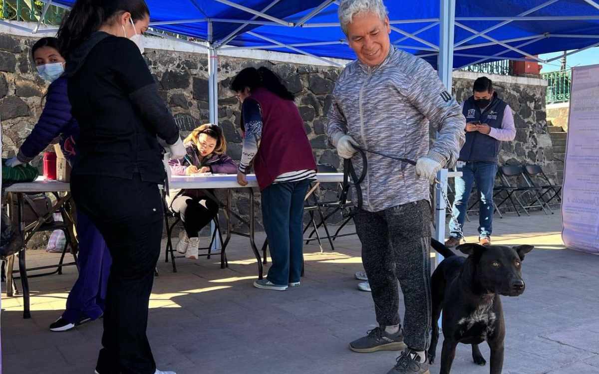 campaña esterilizacion metepec 28 de junio 2024
