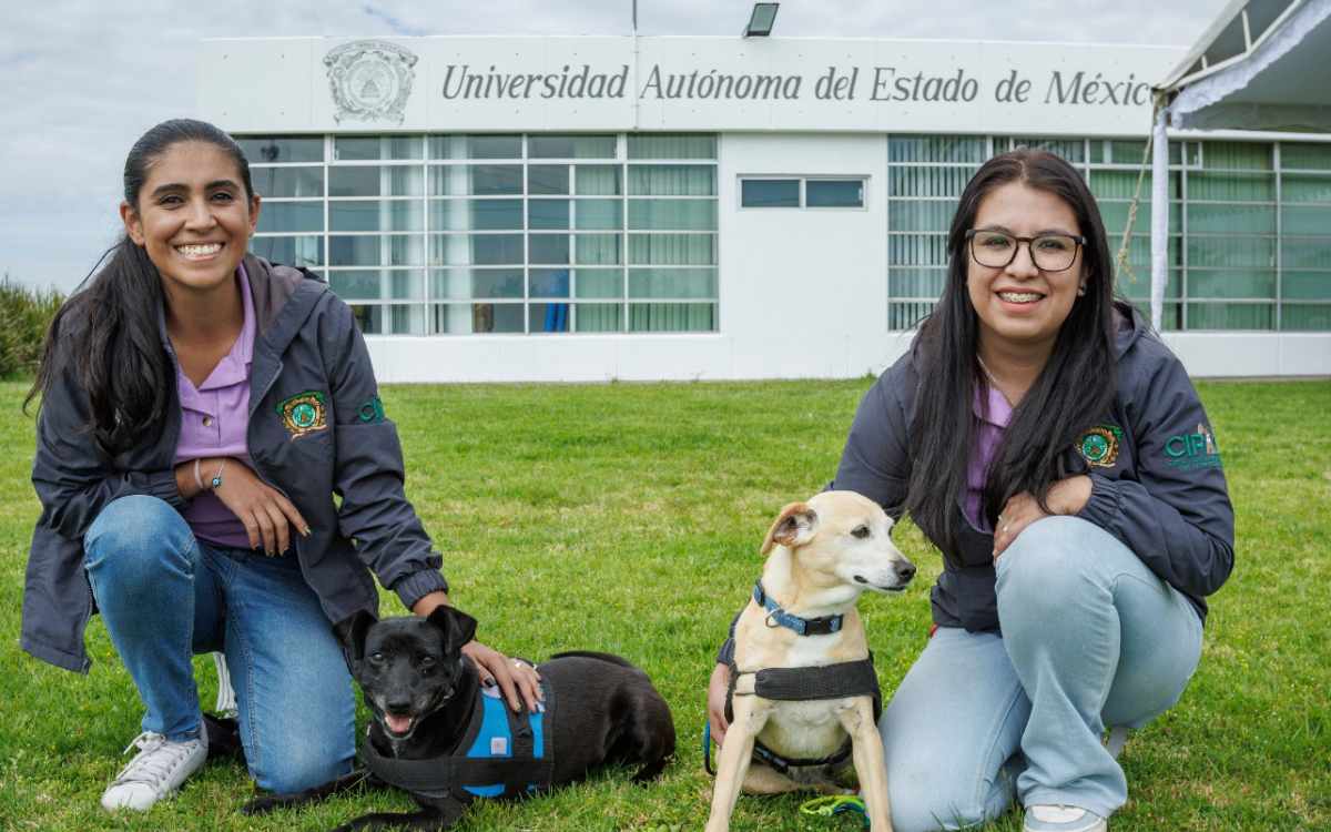 campaña de esterilizacion en toluca