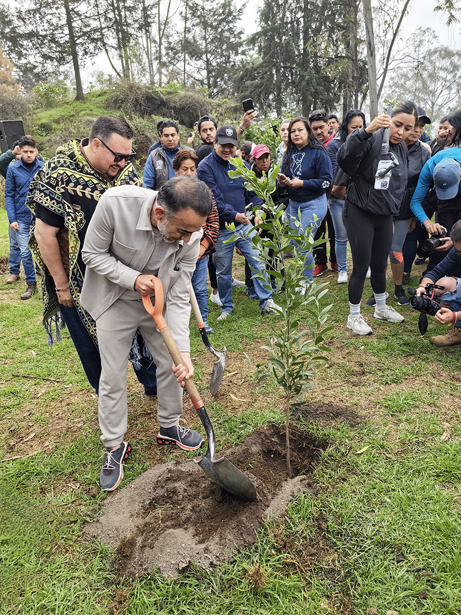 Emprende Metepec jornadas de reforestación 3