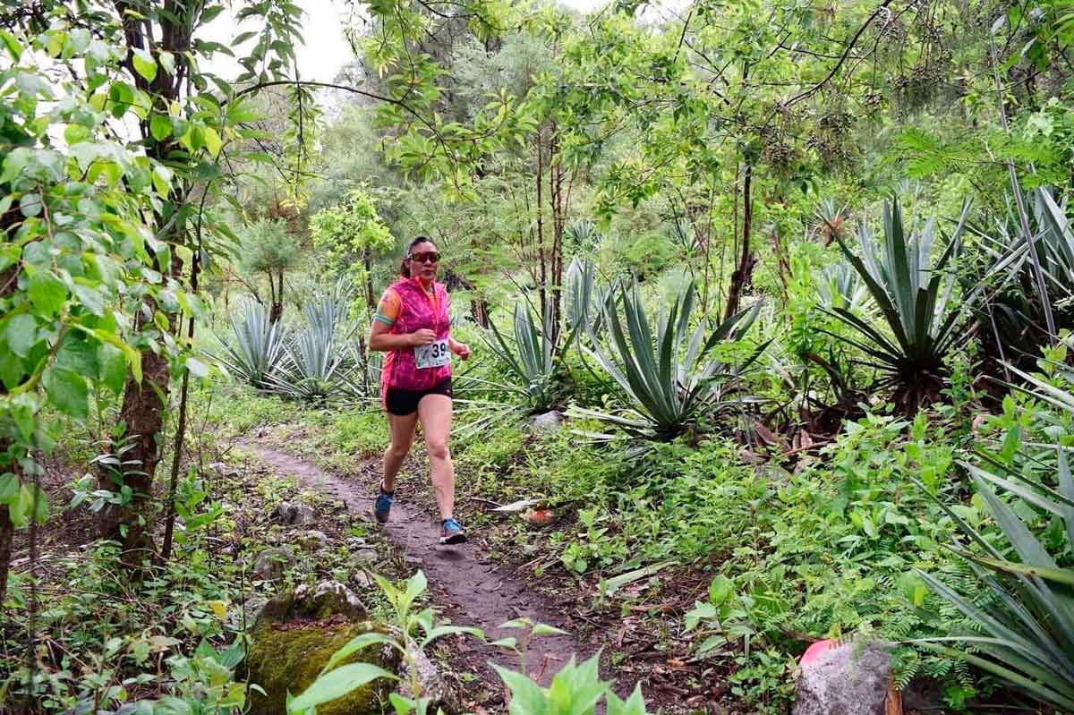 Ruta del Mezcal en Zumpanhuacán