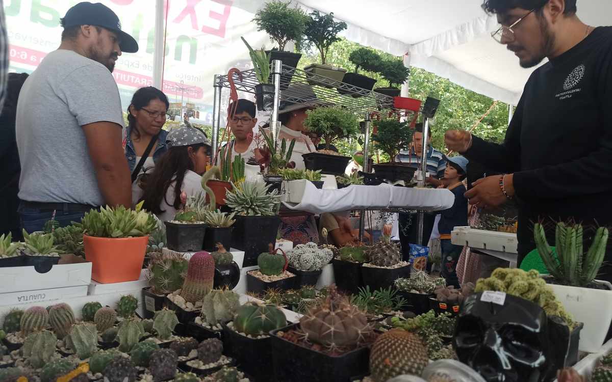 horario expo plantas en metepec 2024