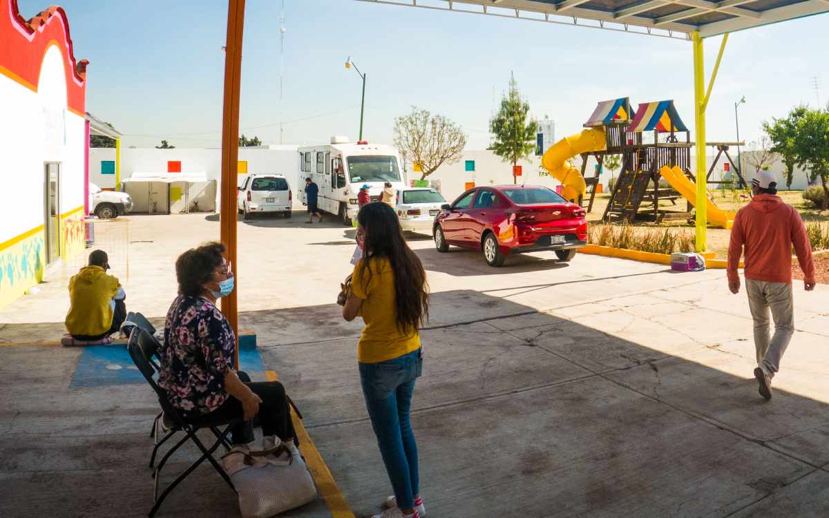 Toluca tiene requisitos para esterilizar animales