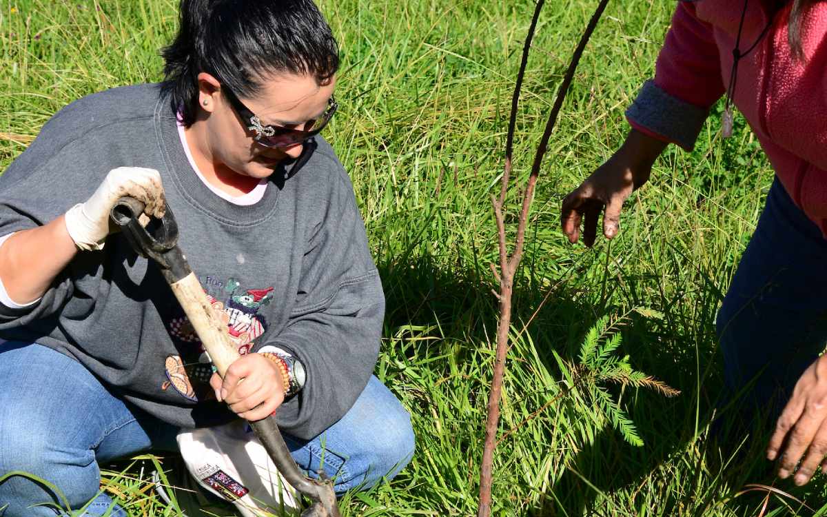 campaña para reforestar en toluca agosto 2024