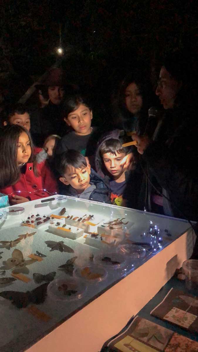 Noche de Museos en Edomex 2024