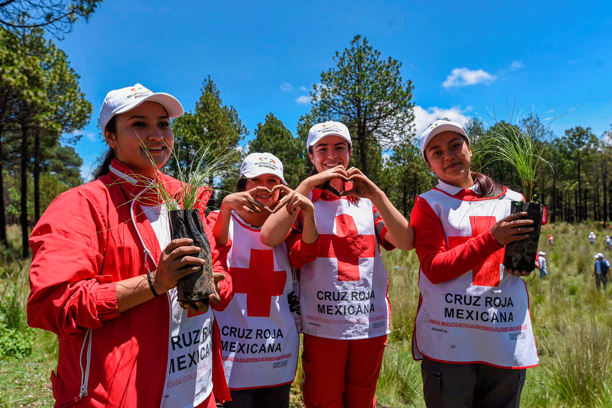 Apoya Cruz Roja Mexicana reforestación en Calimaya con más de 4 mil árboles