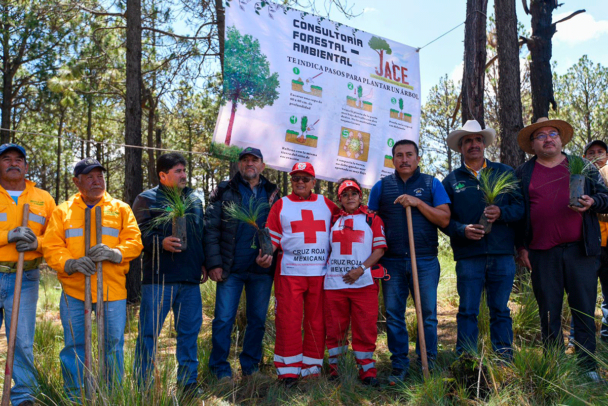 Apoya Cruz Roja Mexicana reforestación en Calimaya con más de 4 mil árboles2