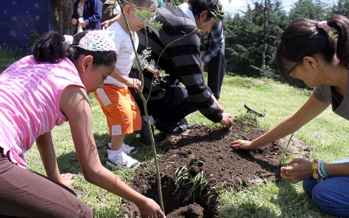 jornada de reforestacion en san mateo atenco