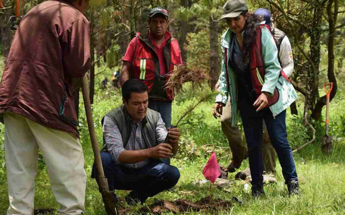 anuncian jornada de reforestacion en almoloya de juarez