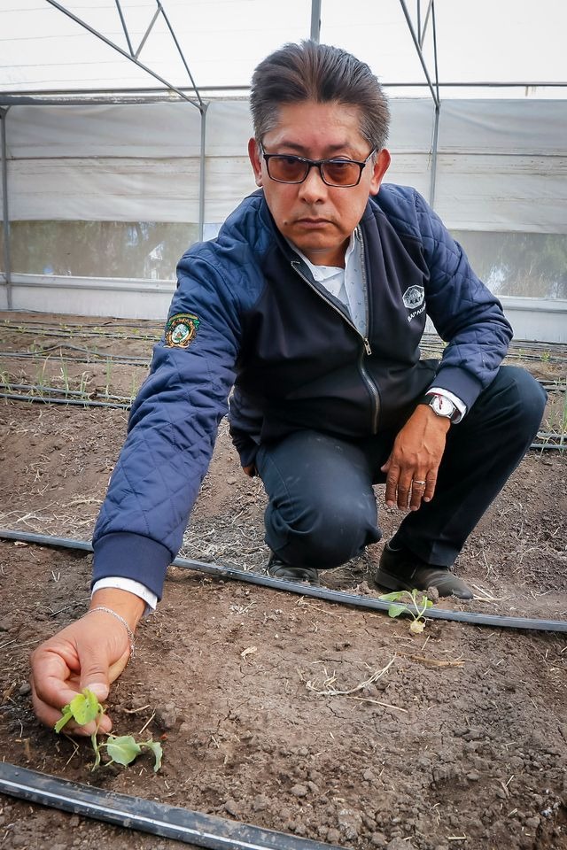 Investigan Maíz Pozolero en UAEMéx en centro de Zumpango