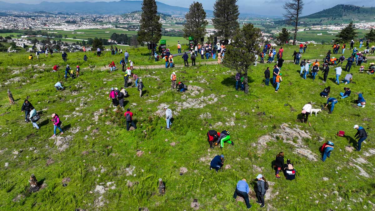 Jornada de Reforestación en Tecaxic, Toluca