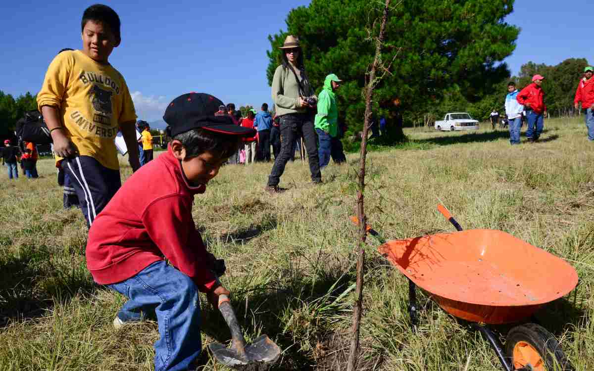 Niño reforestando en almoloya de juarez edomex