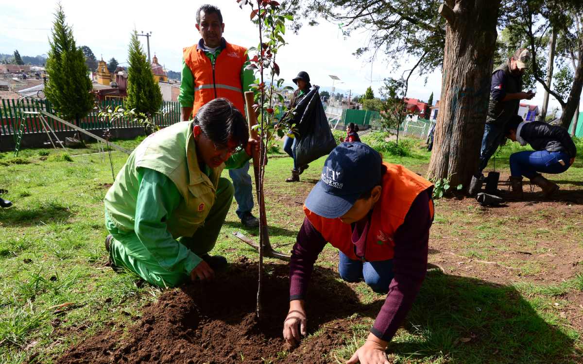 metepec anuncia jornada de reforestacion septiembre 2024