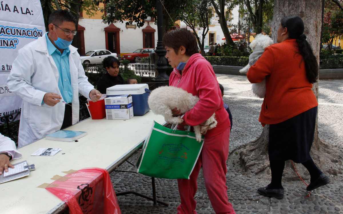 vacunacion antirrabica gratuita en zinacantepec