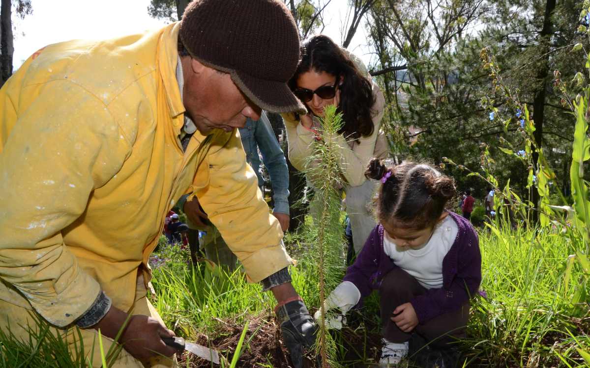 Metepec tendrá 5 Jornadas de Reforestación ¡Únete a esta causa!