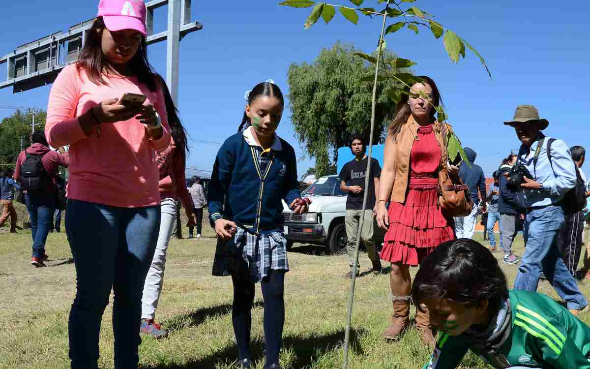 reforestacion masiva en Toluca
