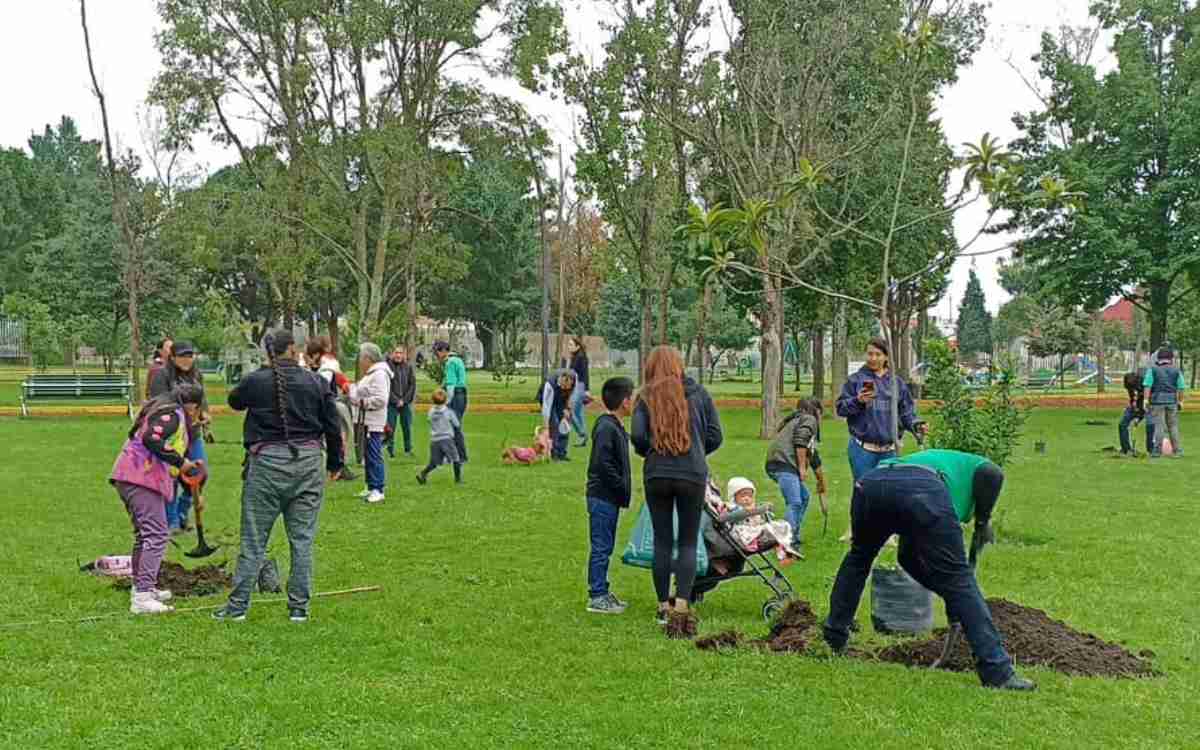 participa en la reforestacion de metepec