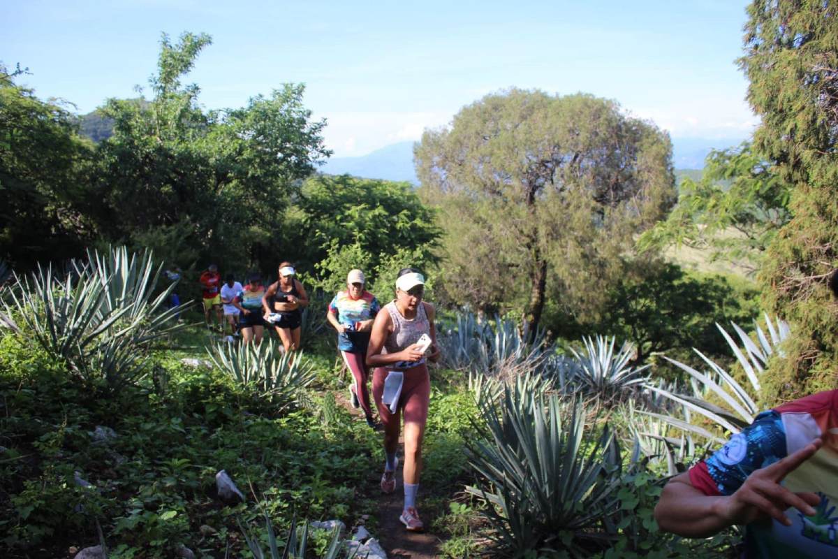 Ruta del Mezcal en Tonatico 2024