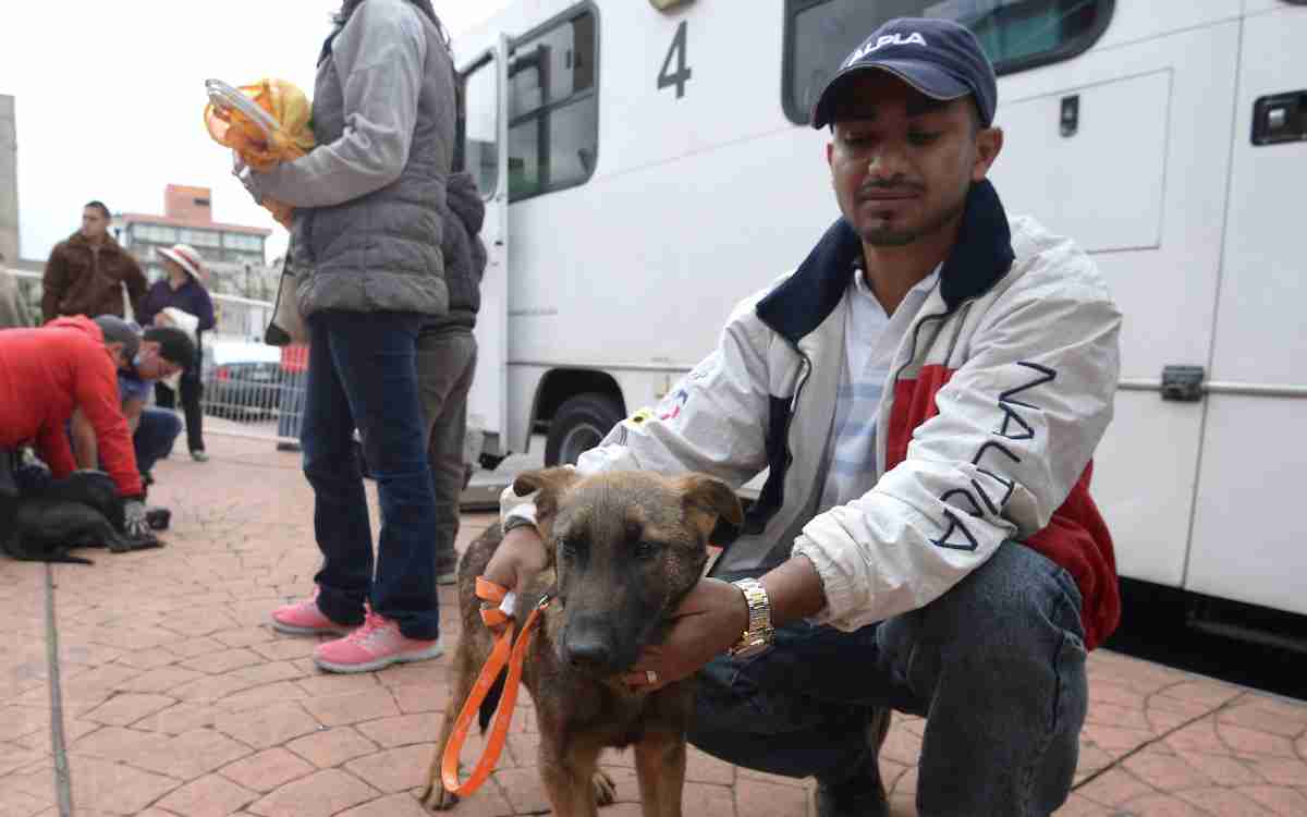 perro en campaña de almoloya de juárez
