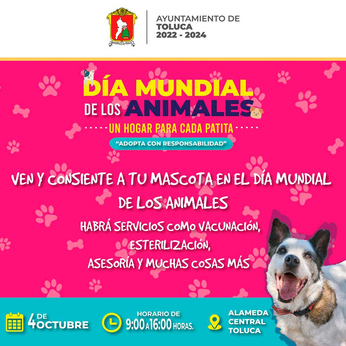 Promoción del Ayuntamiento de Toluca invitando a la población a celebrar el Día de los Animales