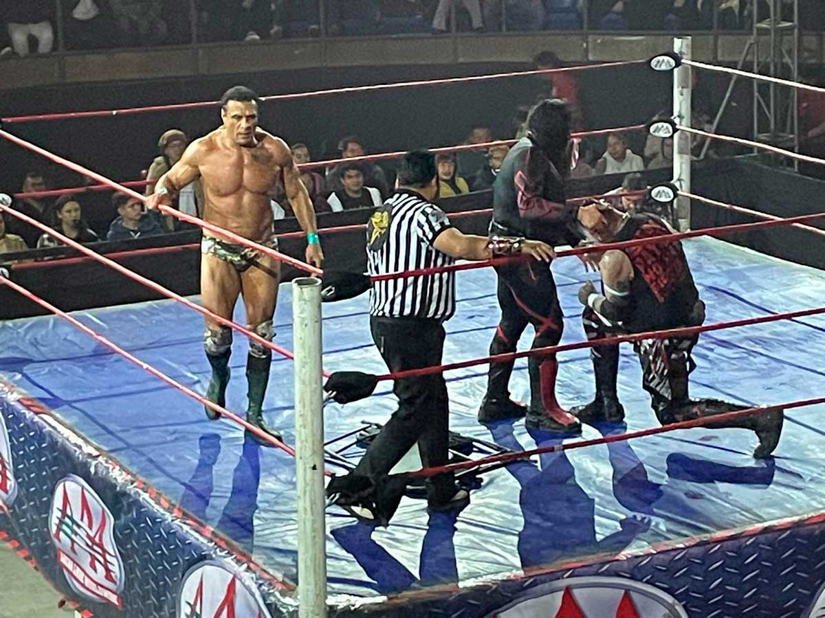 Luchadores en el cuadrilatero en el Downs Ziba.