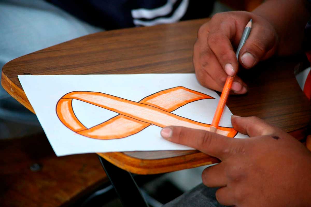 Supervisión de Estrategias para la Reinserción de Jóvenes Infractores en Toluca