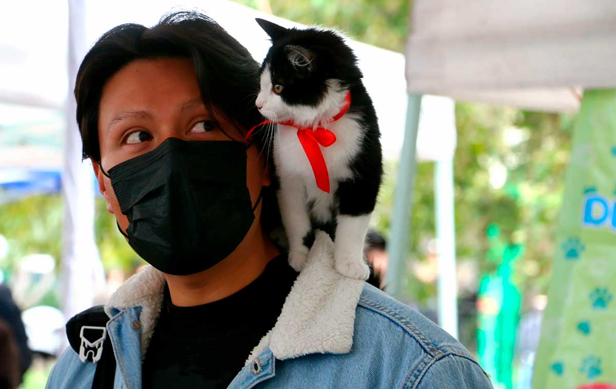 Toluca Celebra el Día Mundial de los Animales con Servicios Gratuitos y Actividades Educativas