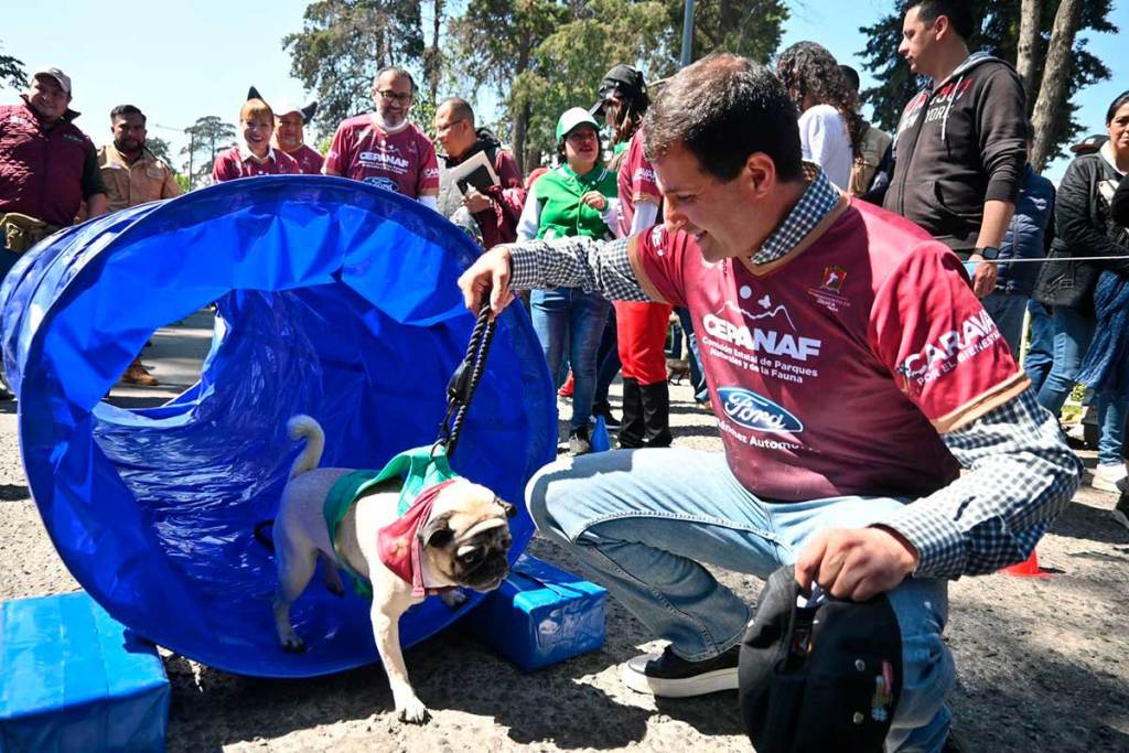 Toluca Reafirma su Compromiso con el Bienestar Animal en la Caravana ...