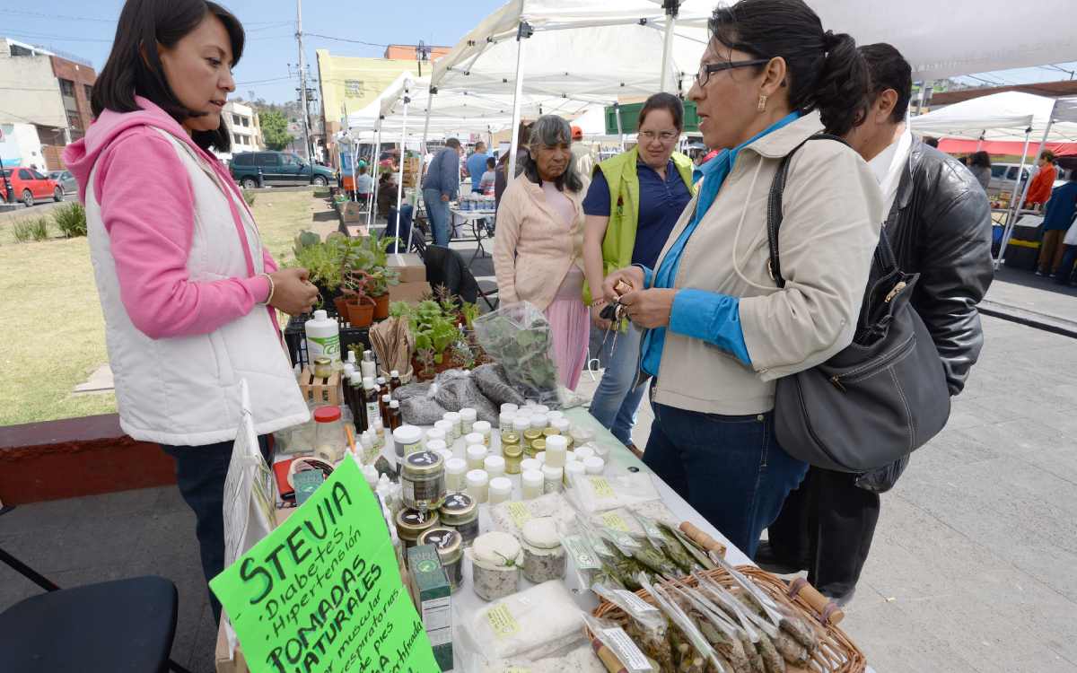 Feria ambiental en almoloya de juárez 2024