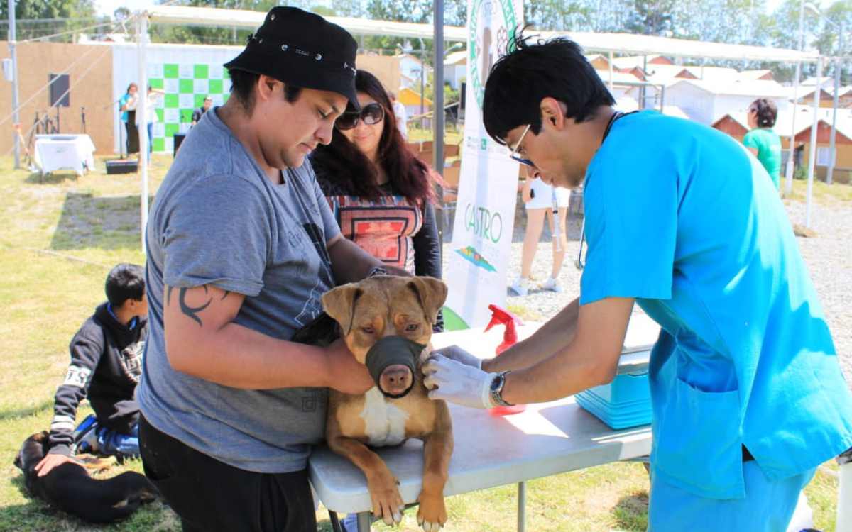 esteriliza a tu mascota en cacalomacán