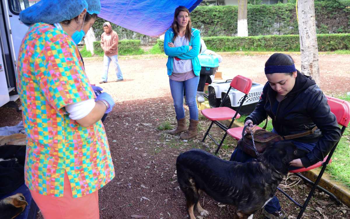 pasos para agendar esterilizacion gratis metepec