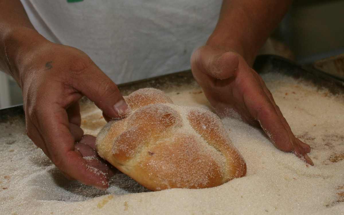 aprende a hacer pan de muerto en metepec