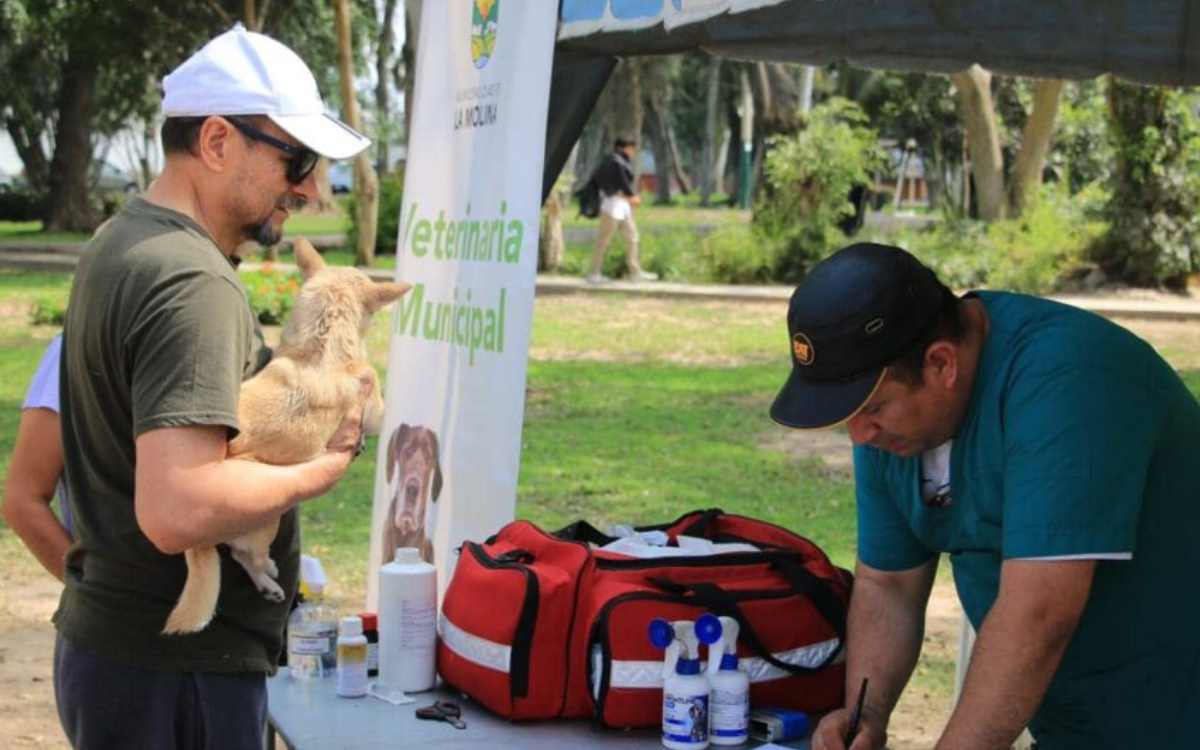 cacalomacan tendra esterilizaciones gratis