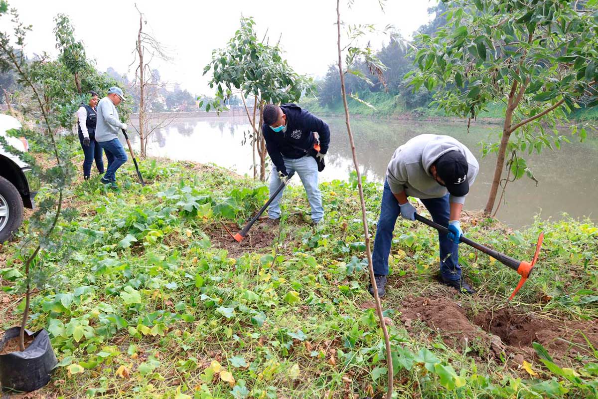 Huixquilucan Reforesta la Presa «El Capulín» para Crear una Barrera Natural y Mejorar el Entorno