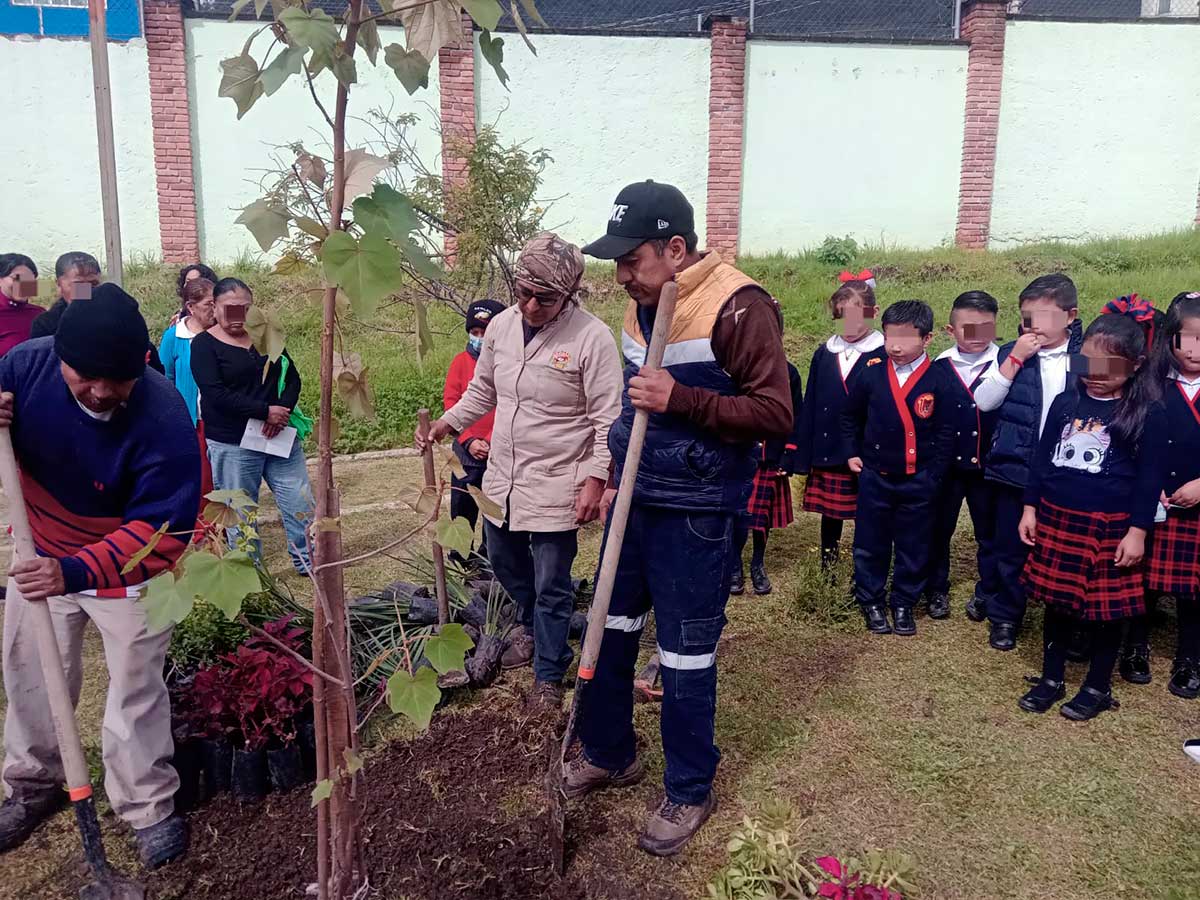 Toluca Promueve el Árbol de las Manitas como Patrimonio Natural con Once Nuevas Plantaciones