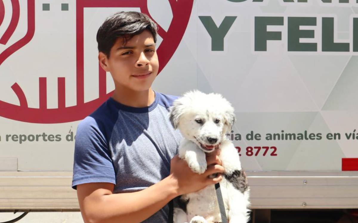 campaña esterilizacion mascotas en san mateo atenco