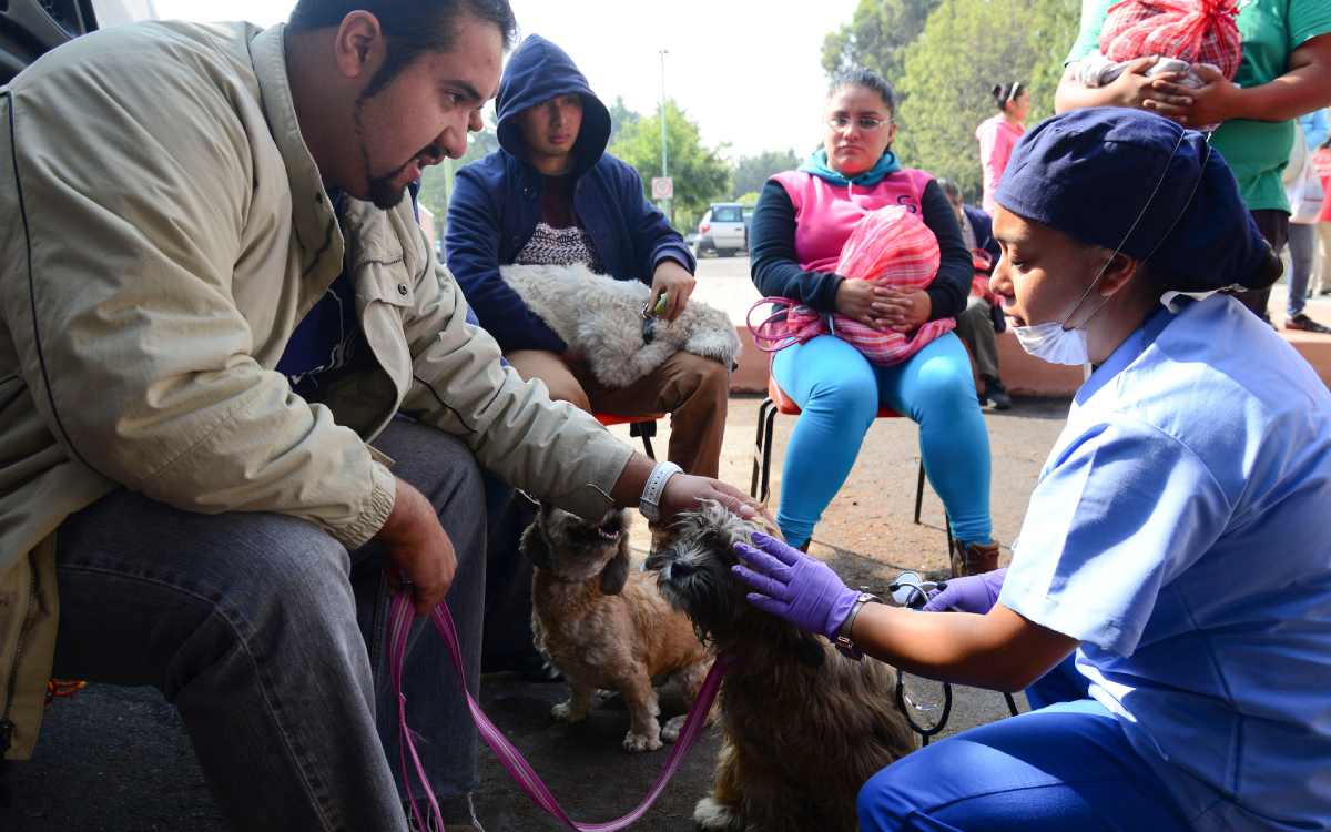 agenda cita en la campaña gratuita esterilizacion metepec