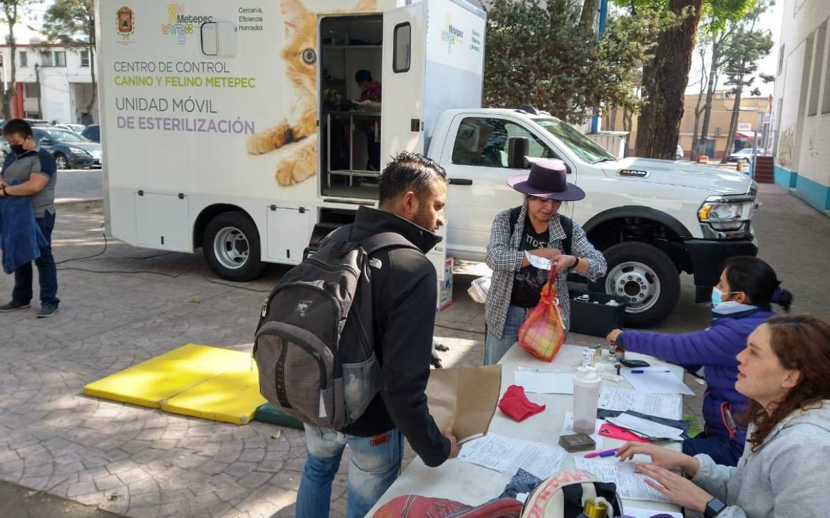 13 de diciembre habra gratis jornada esterilización toluca y metepec