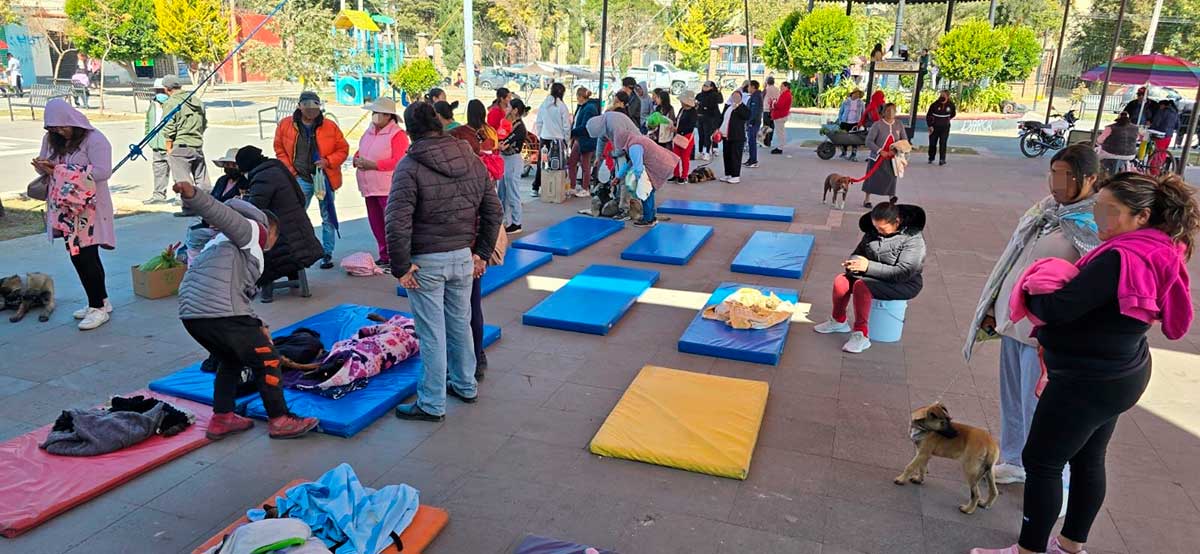 Toluca invita a las jornadas de esterilización de mascotas.
